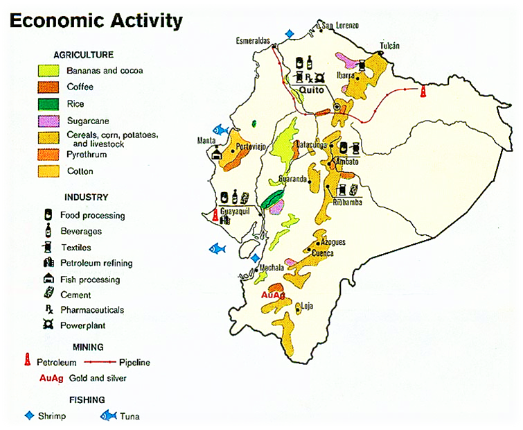 economia